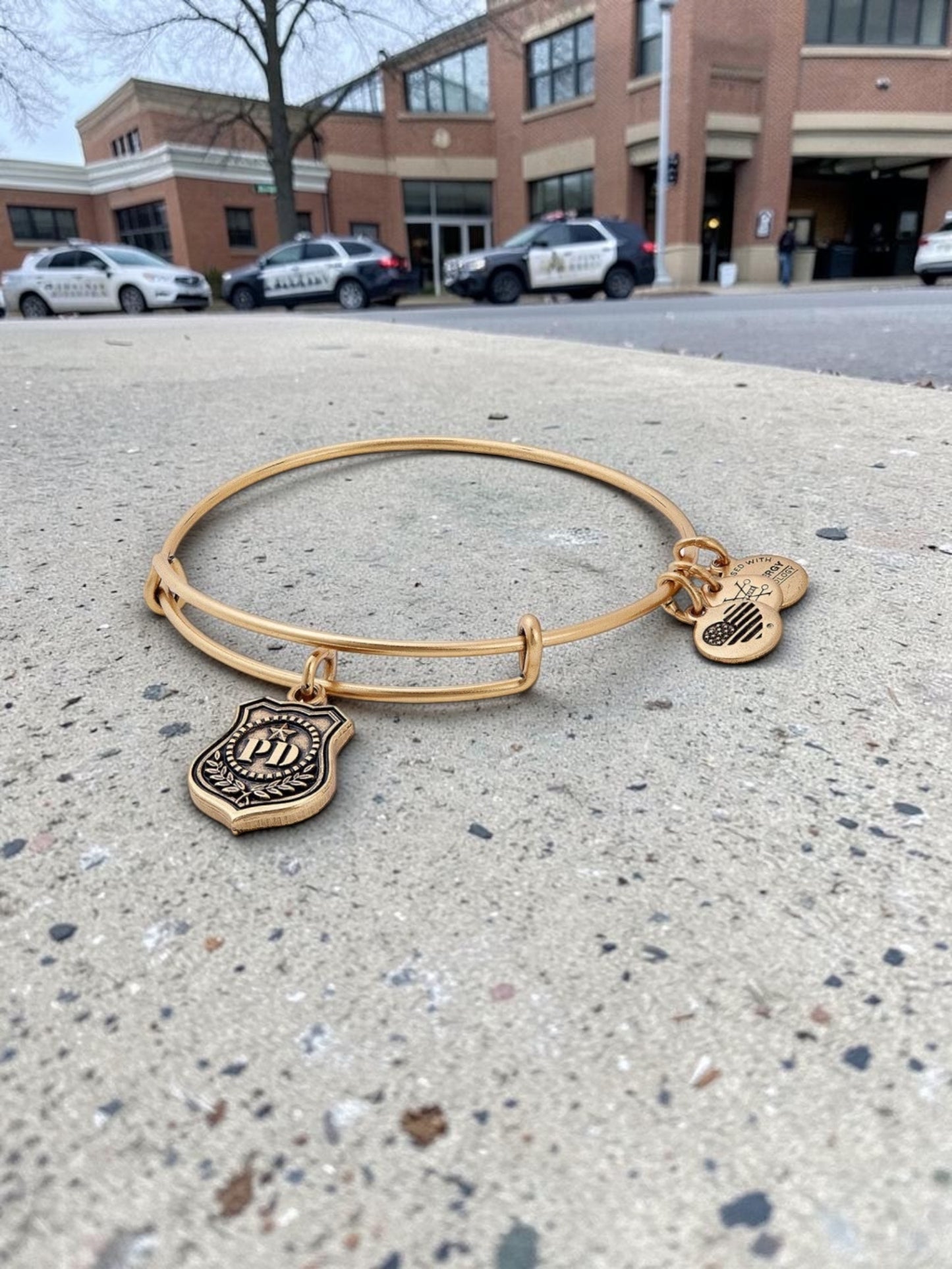 Alex and Ani - Professional Law Enforcement Bangle Bracelet
