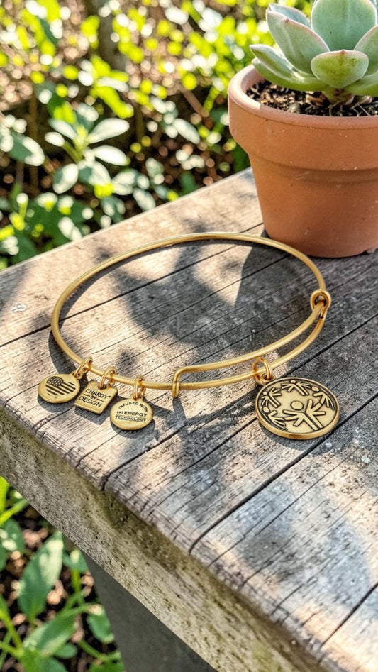 Alex and Ani - Power of Unity “Let Me Win”Charm Bangle Bracelet