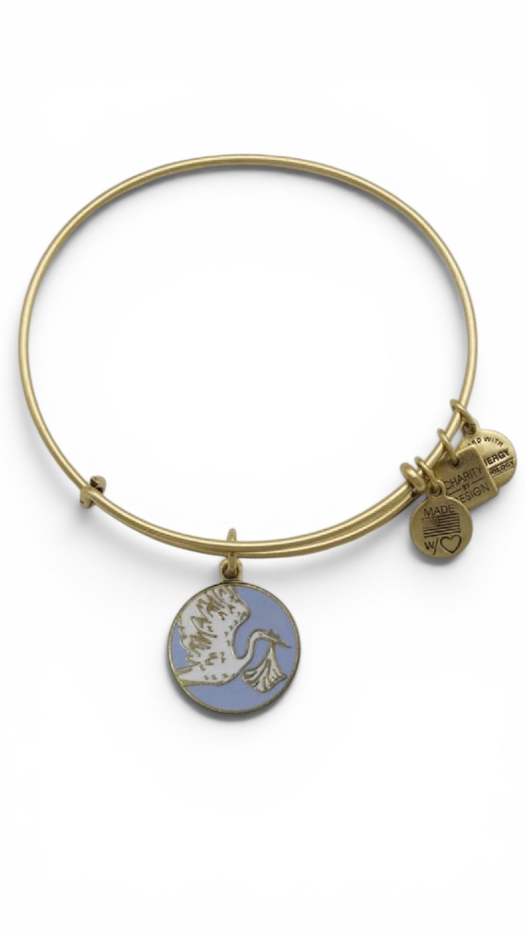 Alex and Ani - Special Delivery Charm Bangle Bracelet