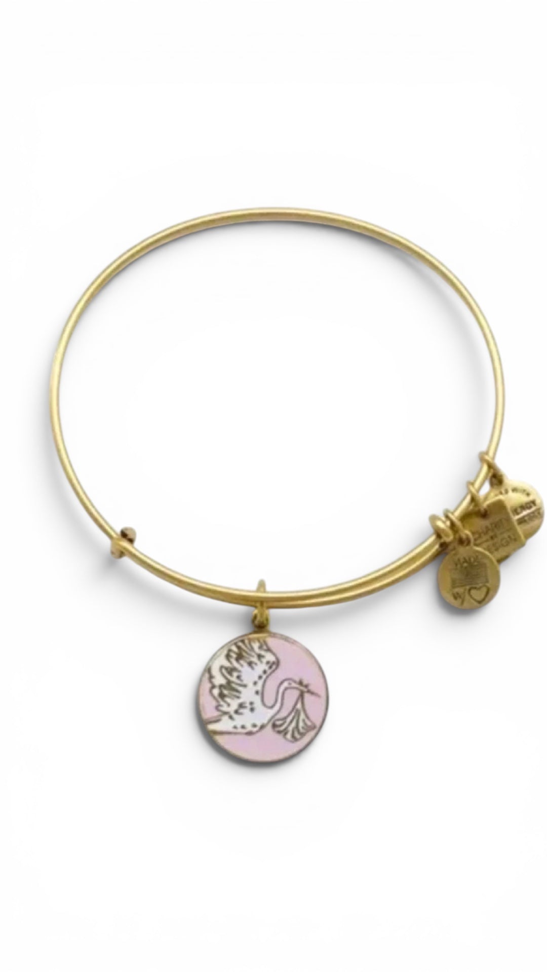 Alex and Ani - Special Delivery Charm Bangle Bracelet