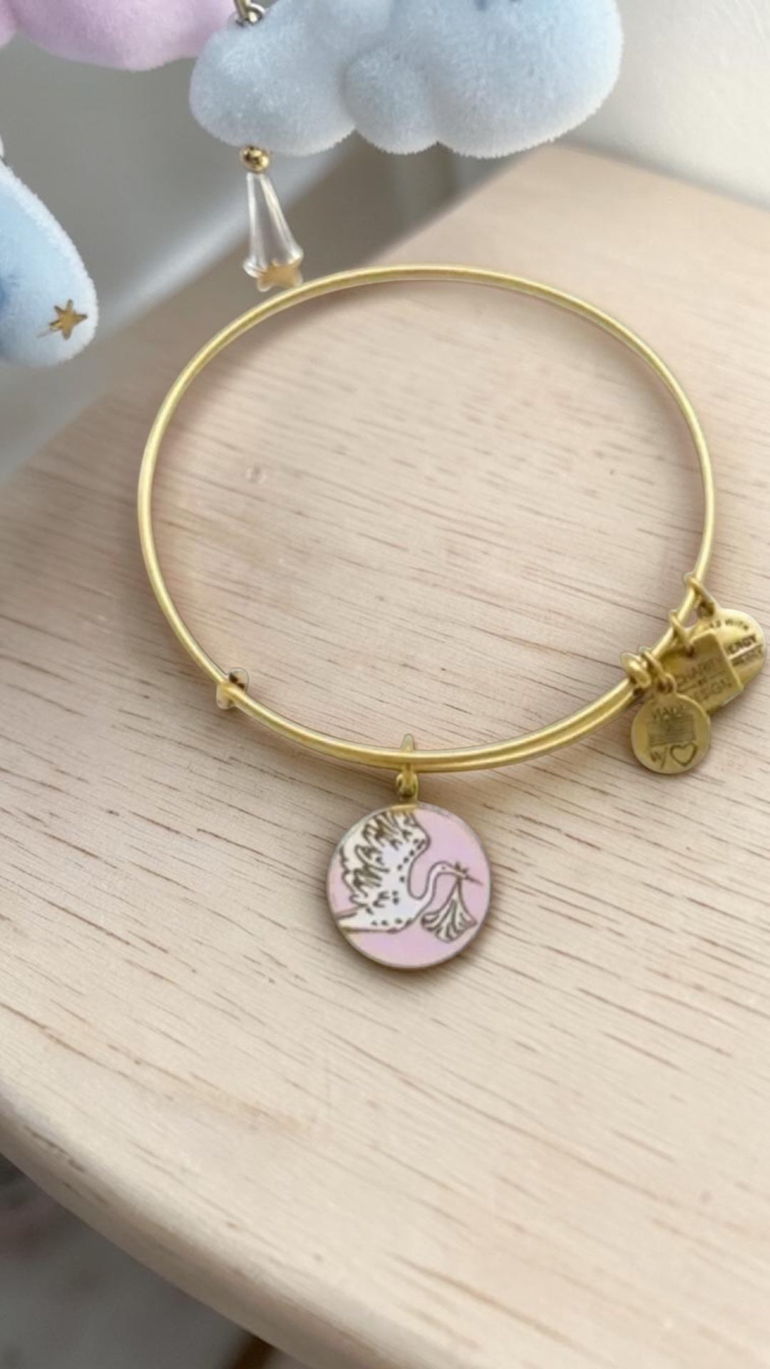 Alex and Ani - Special Delivery Charm Bangle Bracelet