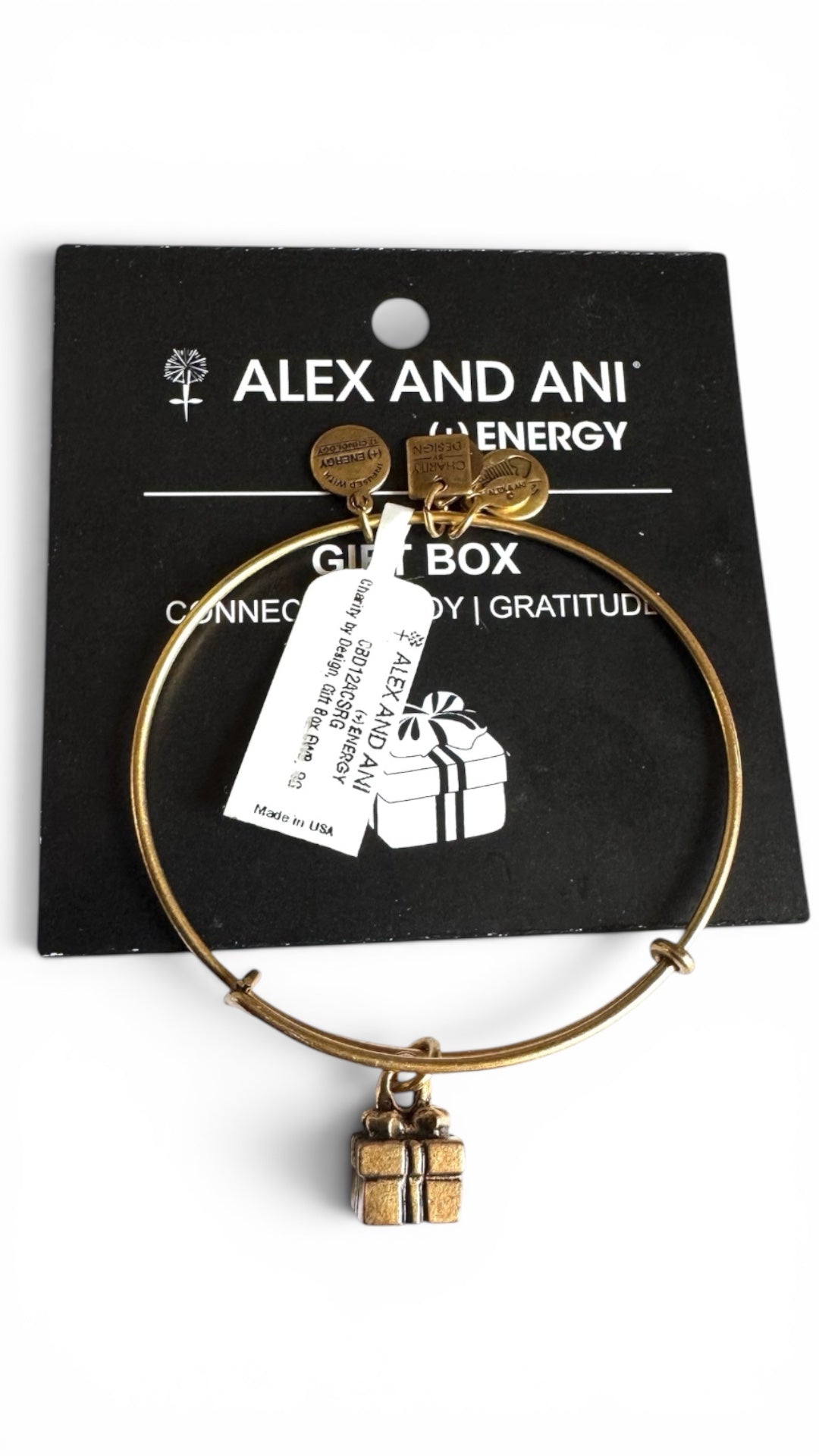 Alex and Ani - Gift Box Charm Bangle Bracelet