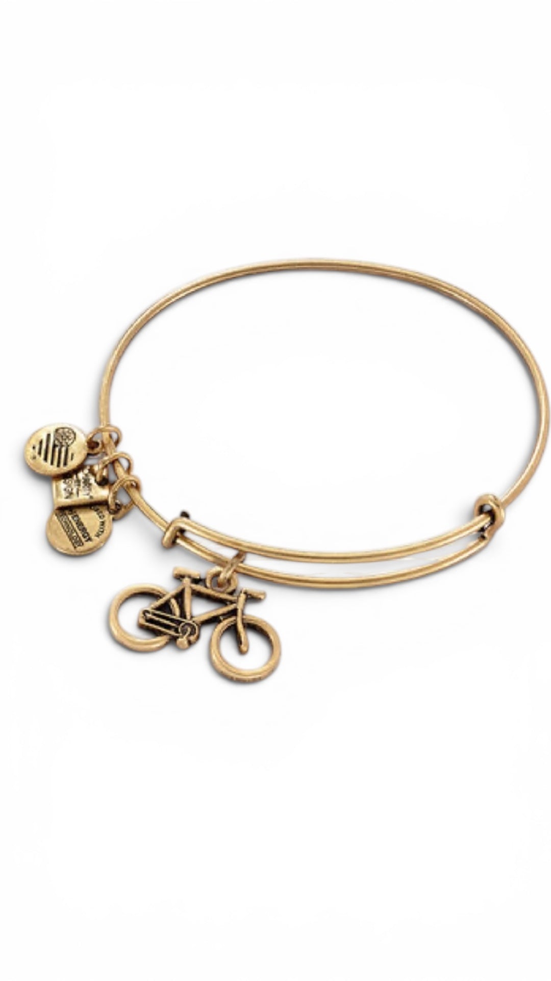 Alex and Ani - Bicycle Charm Bangle Bracelet