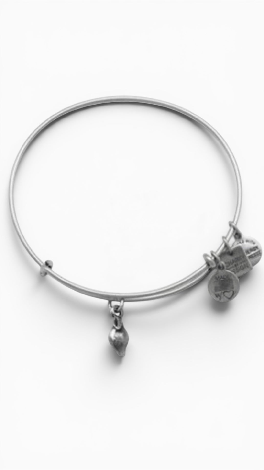 Alex and Ani - Lemon Charm Charm Bangle, Charity to Fund Pediatric Cancer Research
