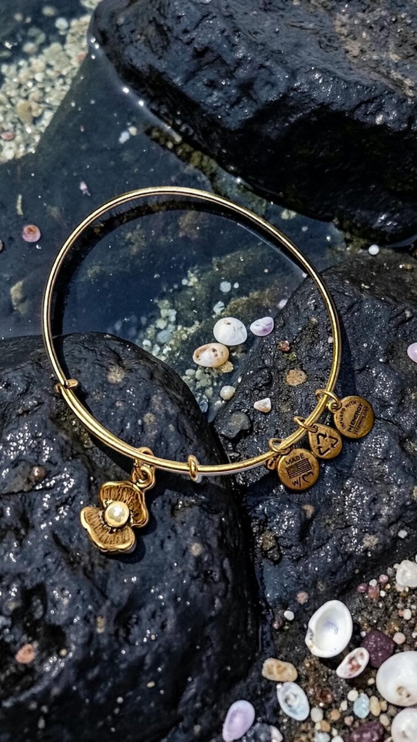 Alex and Ani - Oyster Clam Shell with Pearl Charm Bangle Bracelet