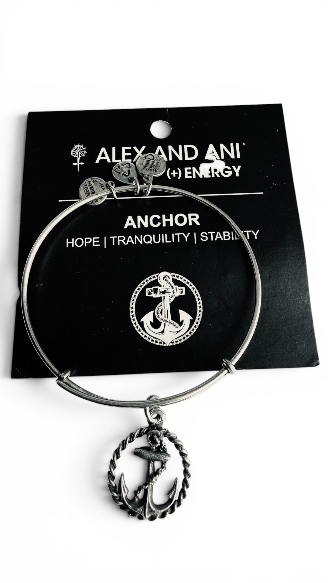 Alex and Ani - Anchor With a Rope Charm Bangle Bracelet