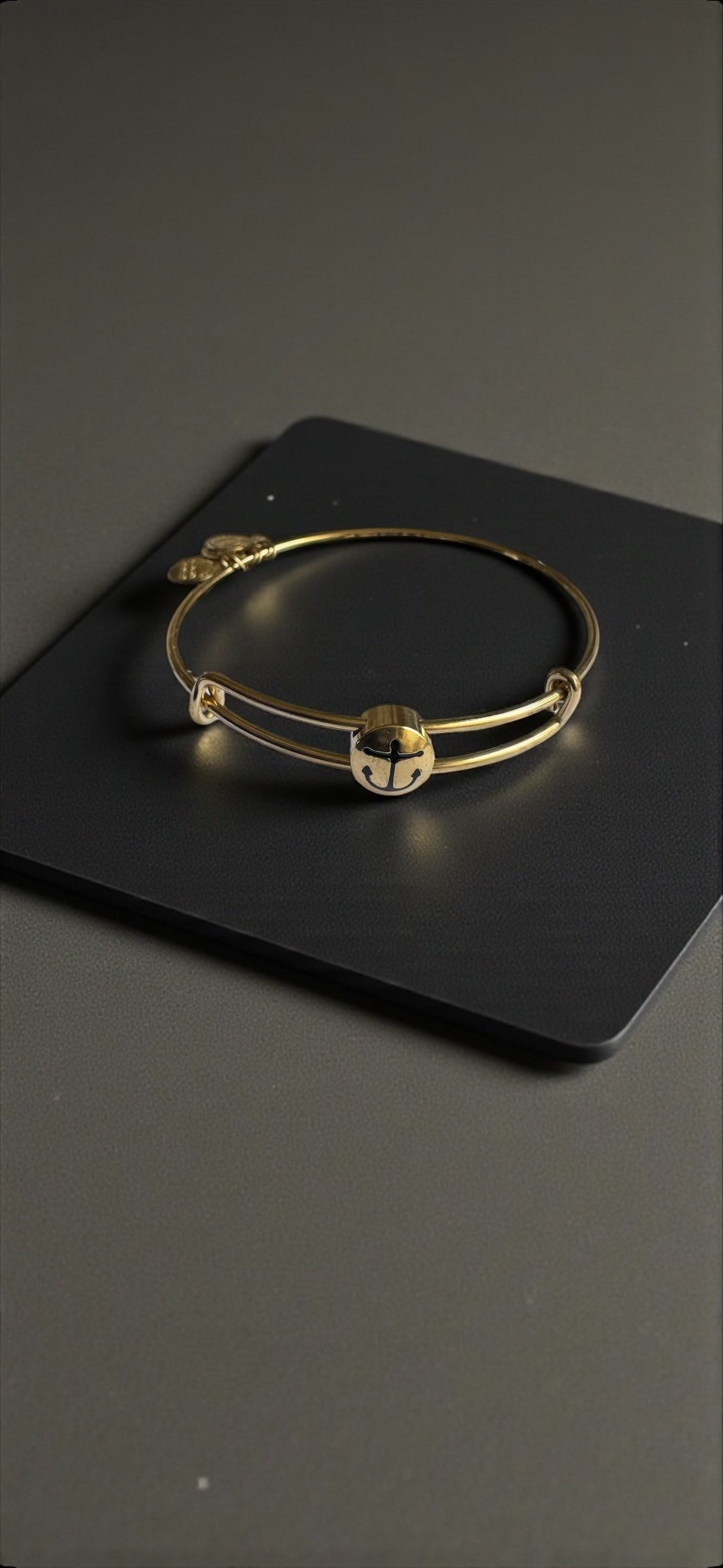 Alex and Ani - Anchor Slide Sacred Studs Charm  Bangle Bracelet