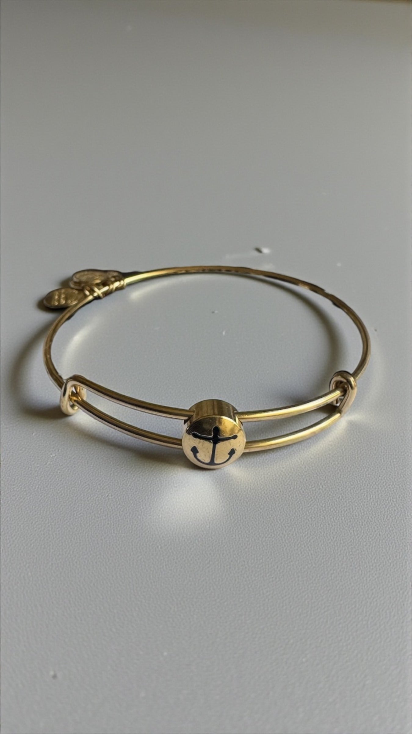 Alex and Ani - Anchor Slide Sacred Studs Charm  Bangle Bracelet