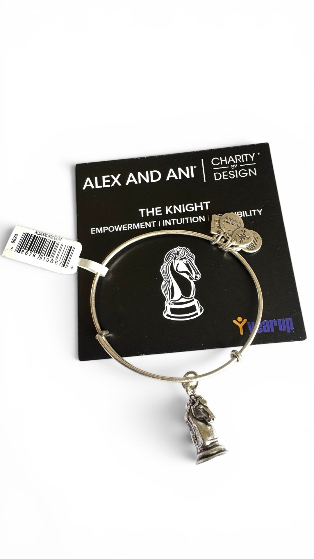 Alex and Ani - The Knight Charm Bangle Bracelet