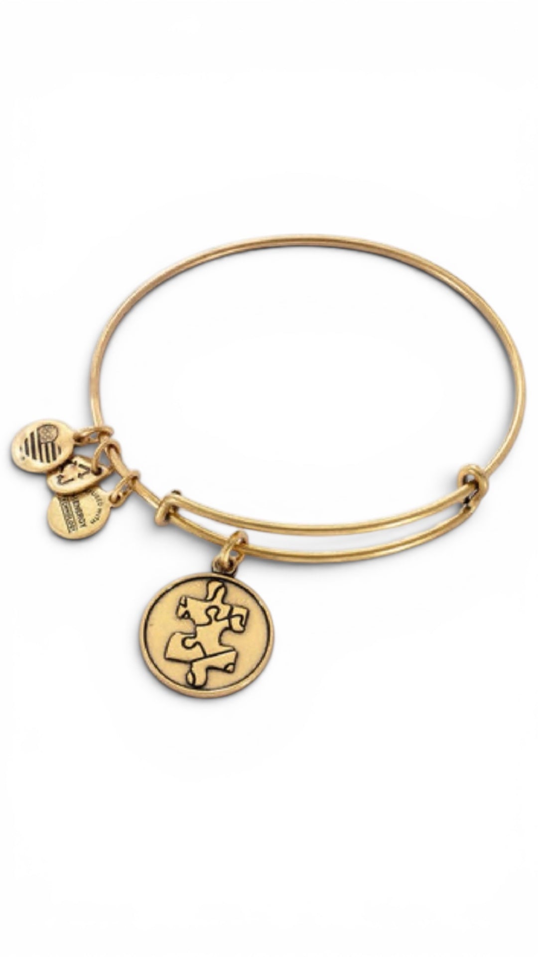 Alex and Ani - Piece of the Puzzle Charm Bracelet Bracelet