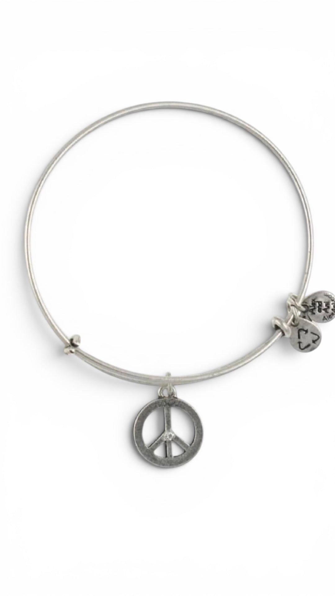 Alex and Ani - “World Peace” Charm Bangle Bracelet