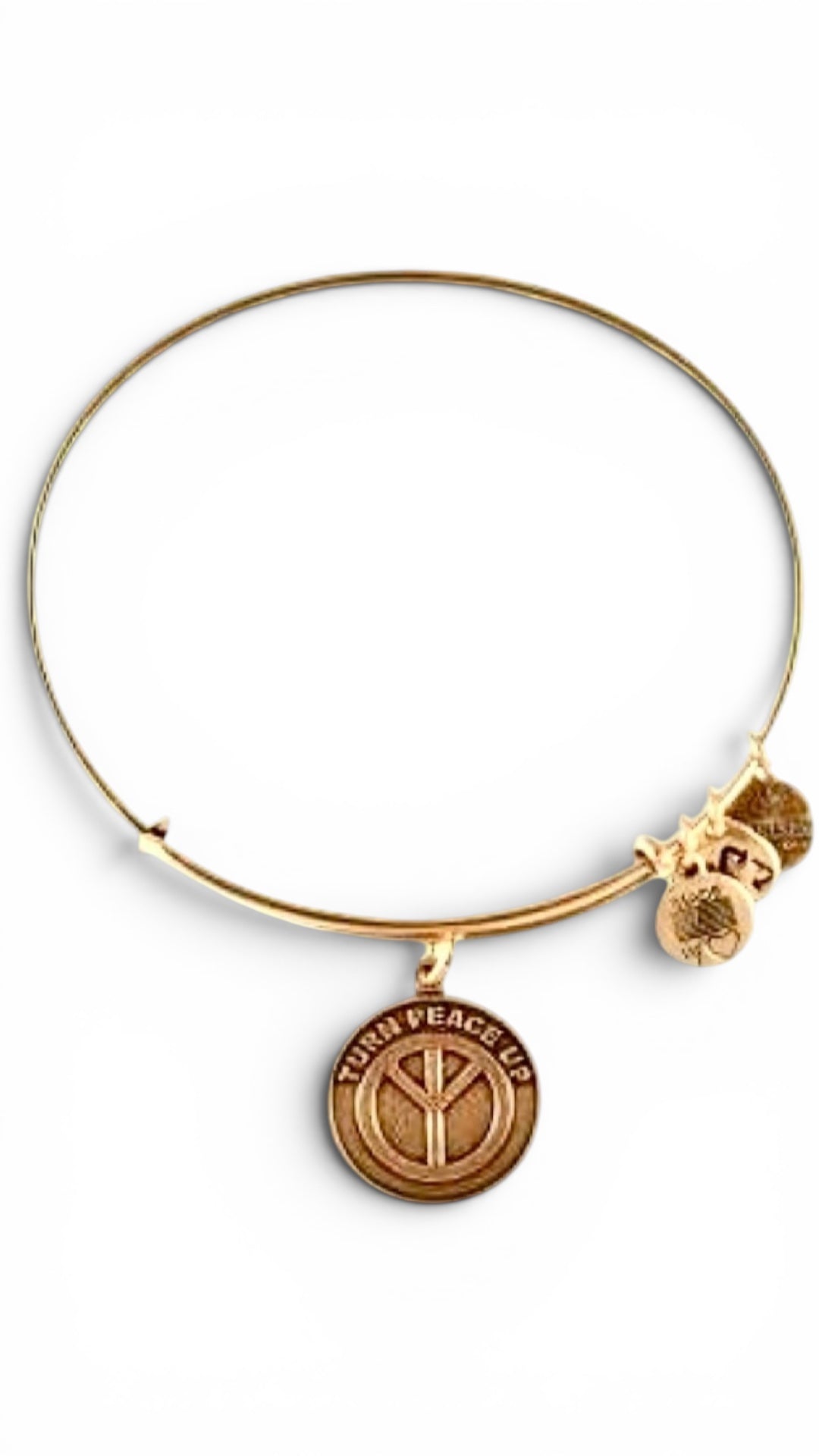 Alex and Ani - ‘Turn Peace Up’ Charm Bangle Bracelet
