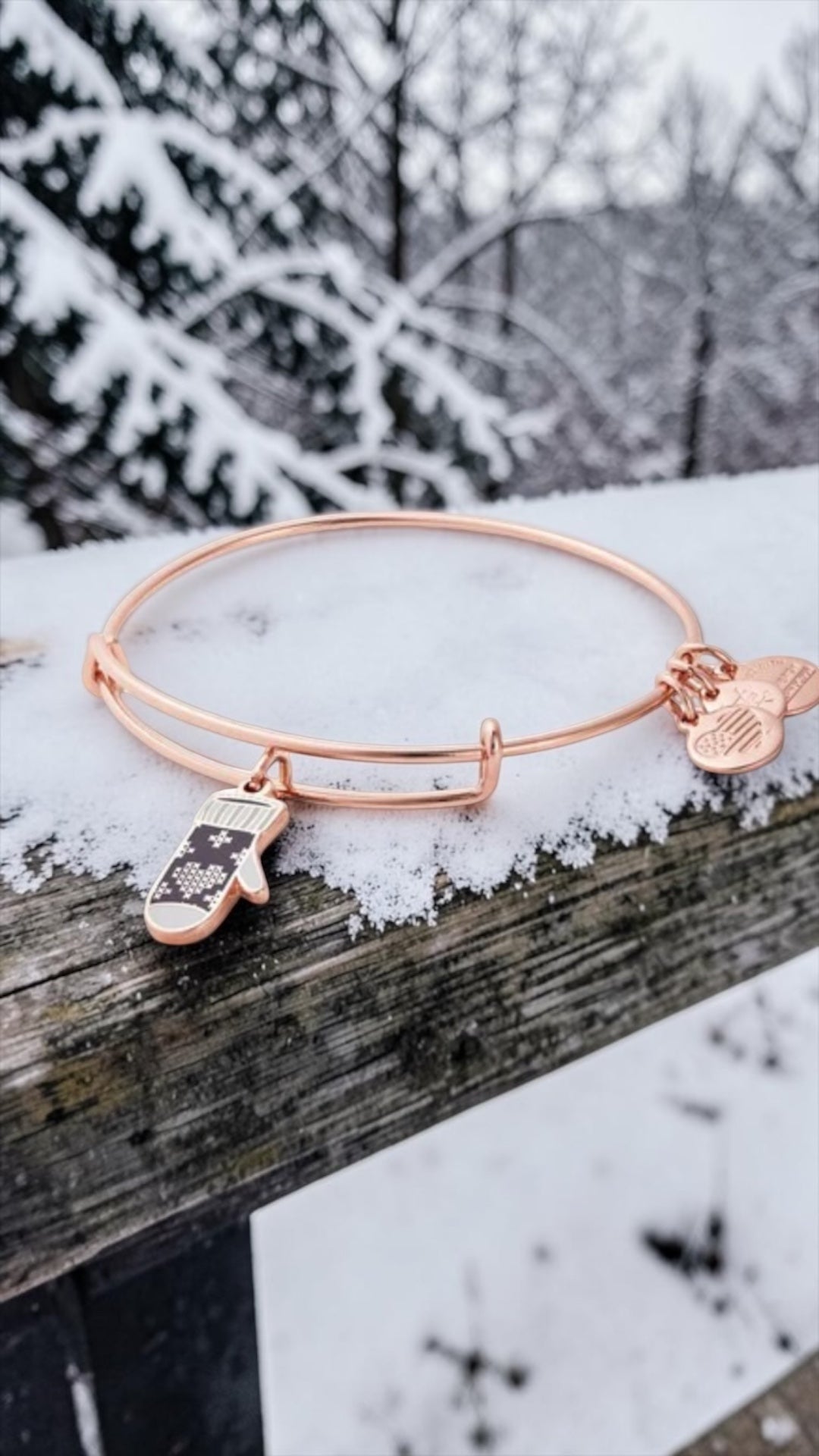 Alex and Ani - Mitten, Charity by Design, Bangle Bracelet