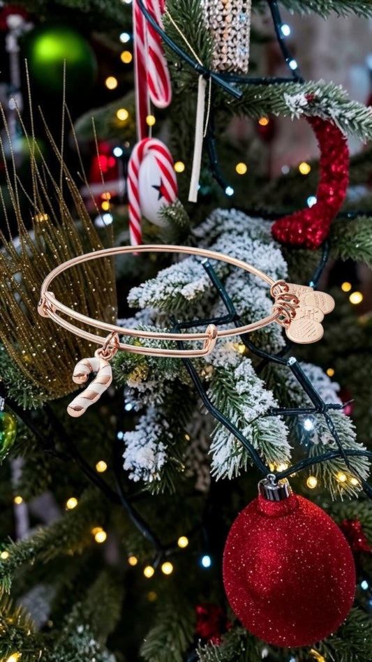Alex and Ani - Candy Cane Bangle Bracelet