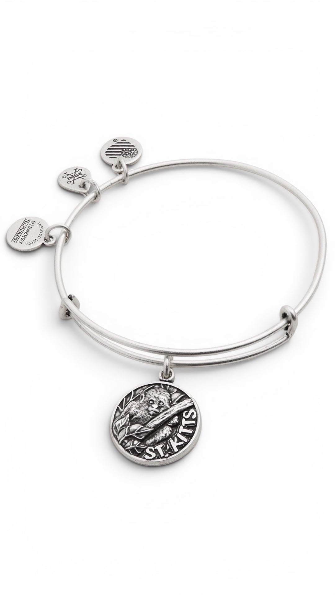 Alex and Ani - St. Kitts, Destination Bangle Bracelet