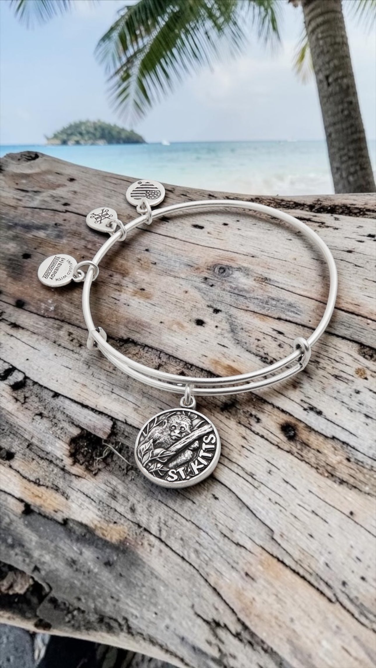 Alex and Ani - St. Kitts, Destination Bangle Bracelet