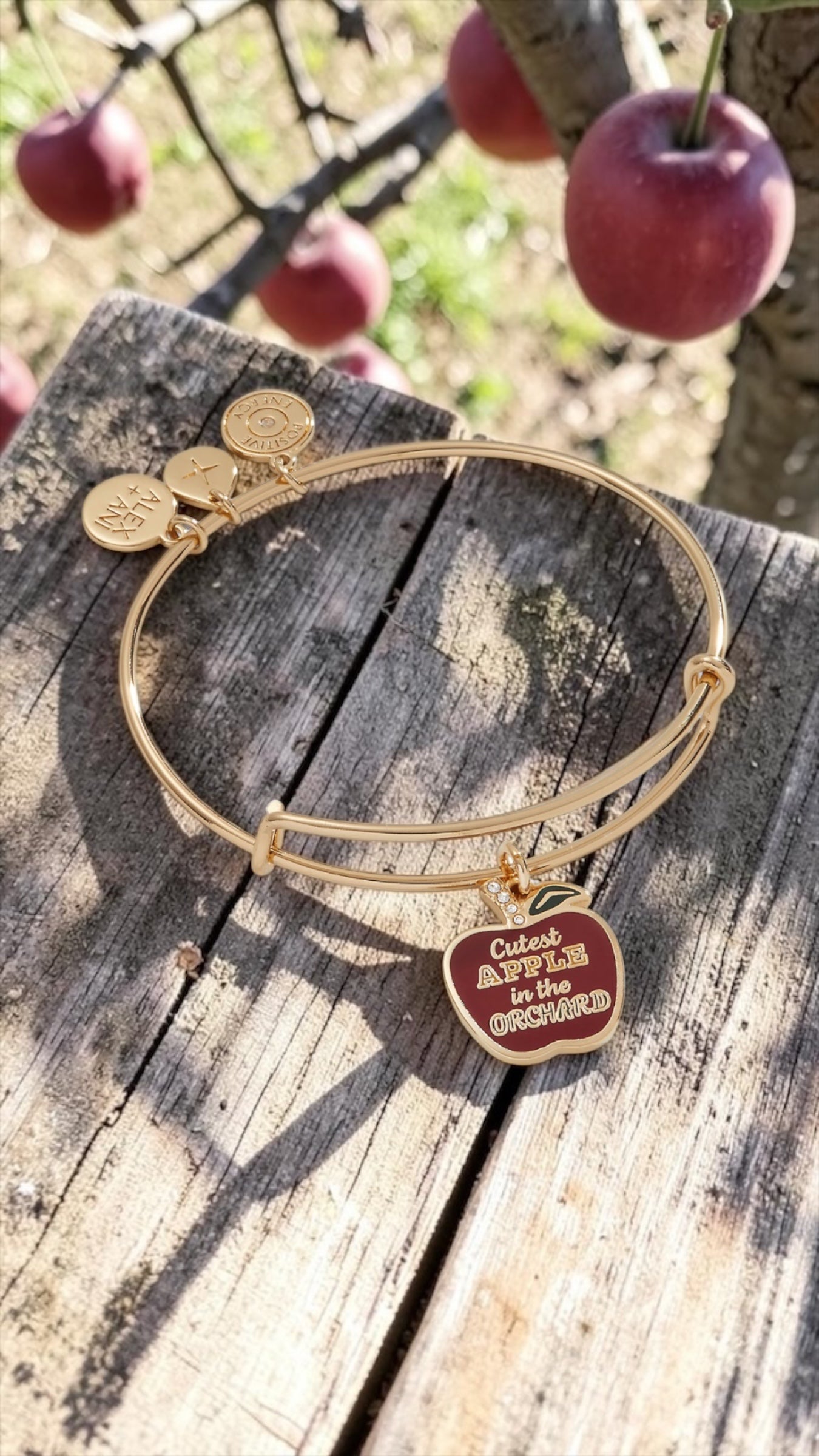 Alex and Ani - "Cutest Apple in the Orchard" Charm Bangle Bracelet