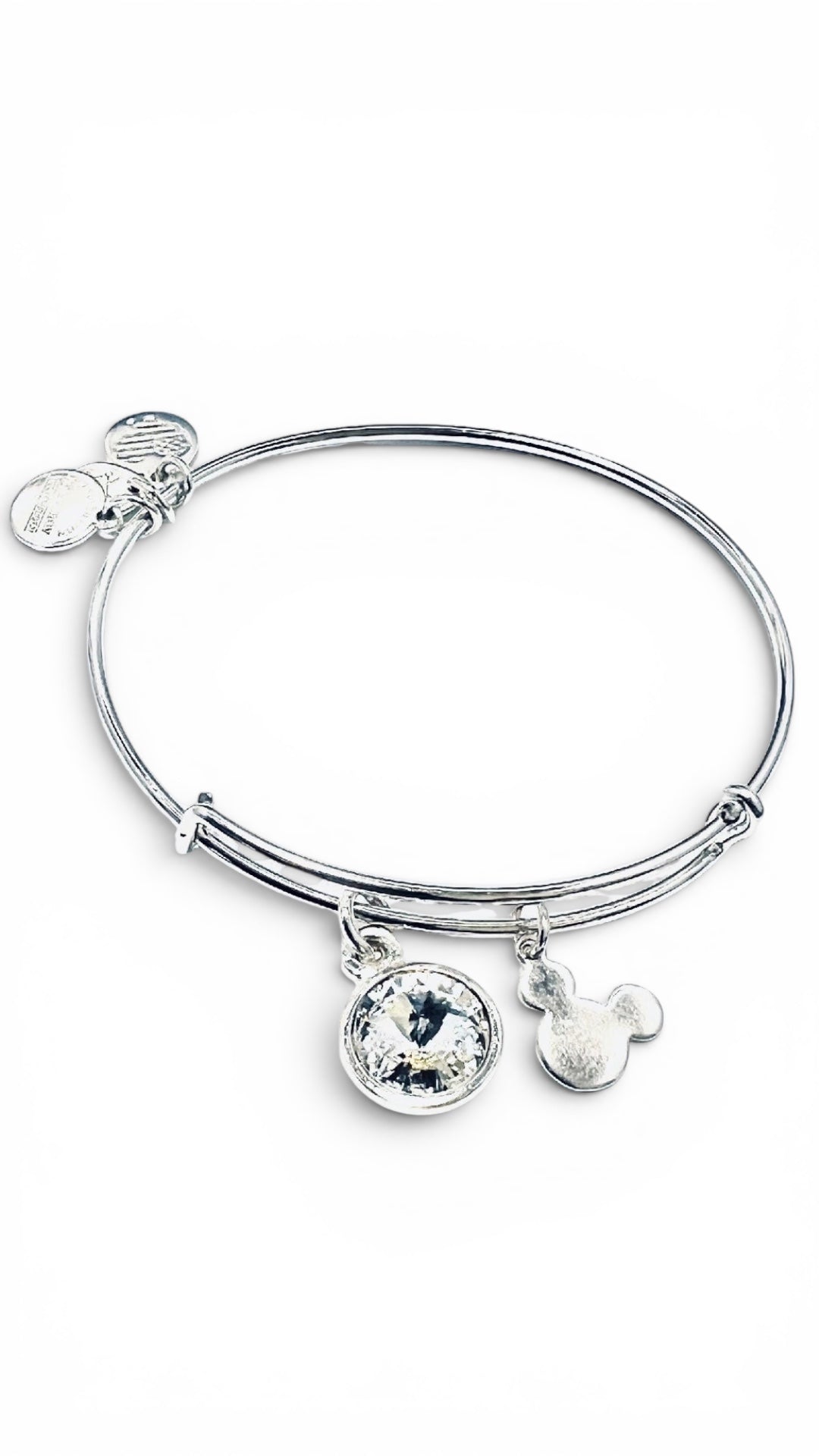 Alex and Ani - Park Exclusive - April Swarovski Crystal Bangle Bracelet