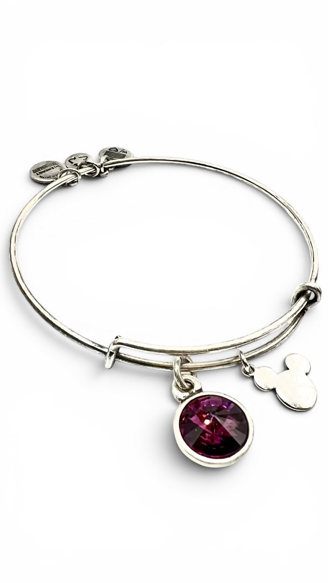 Alex and Ani - Park Exclusive - February Birth Swarovski Crystal Bangle Bracelet