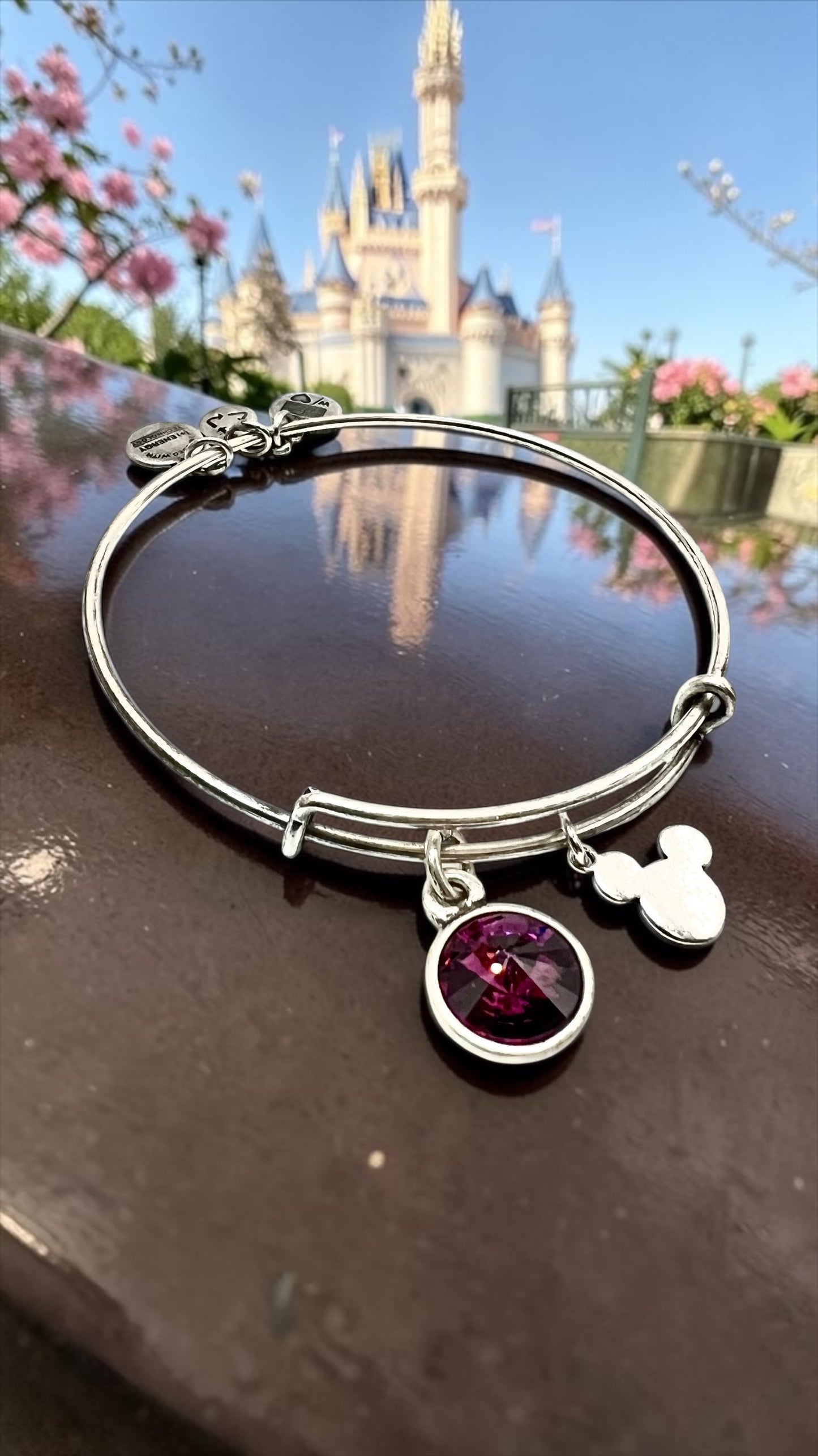 Alex and Ani - Park Exclusive - February Birth Swarovski Crystal Bangle Bracelet
