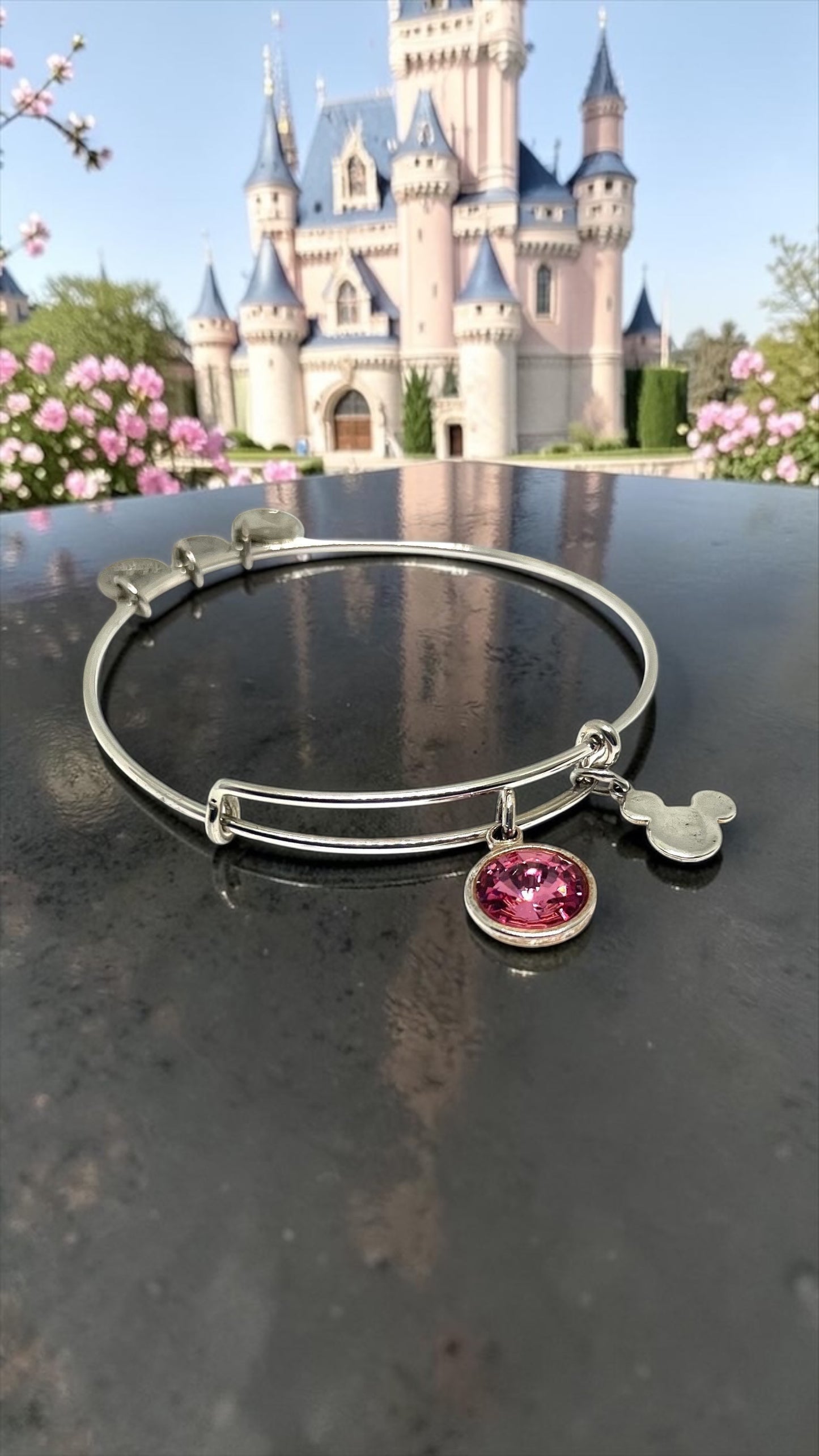 Alex and Ani - Park Exclusive - October Birth Swarovski Crystal Bangle Bracelet Rafaelian Silver