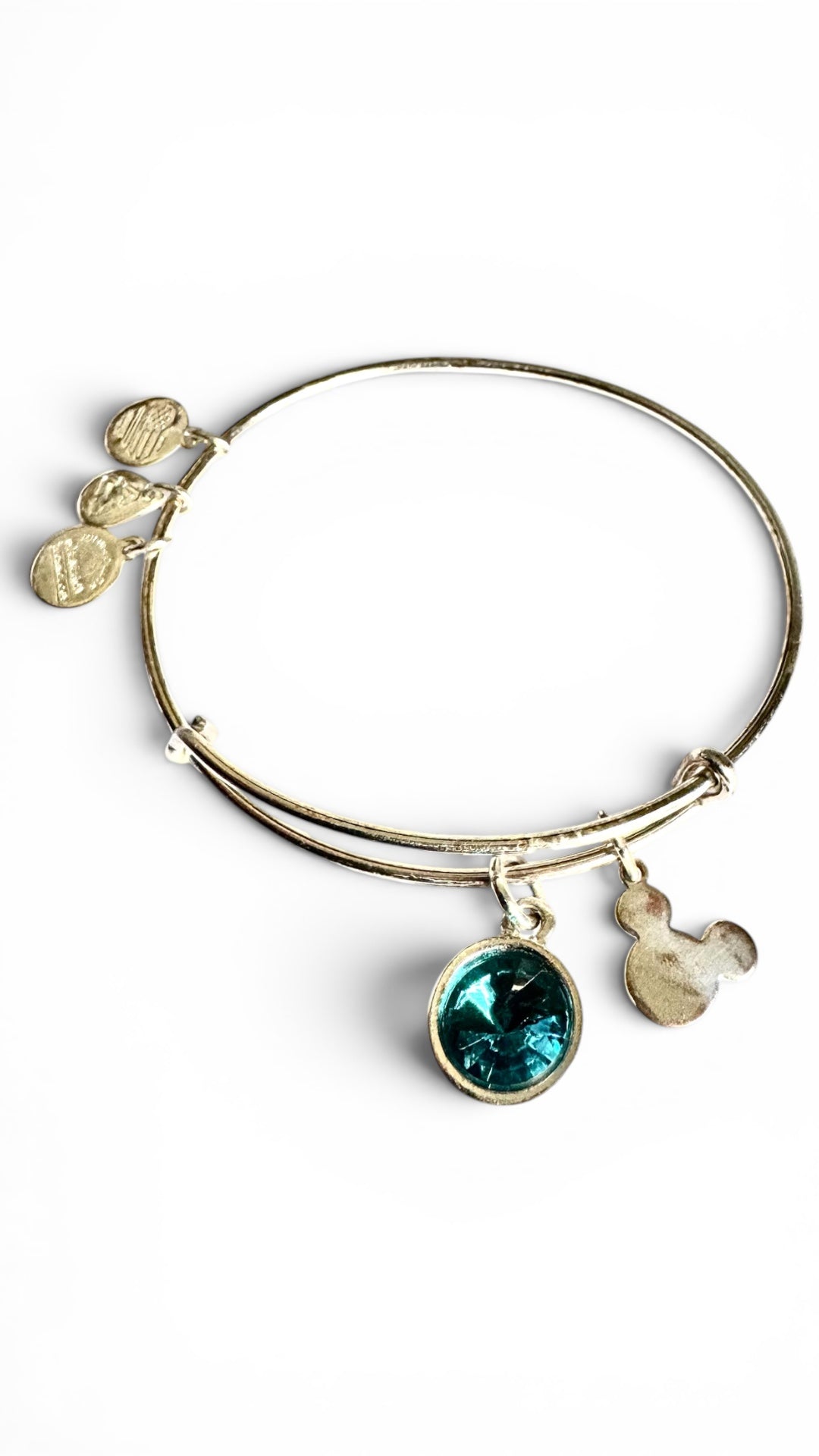 Alex and Ani - Park Exclusive - December Birth Swarovski Crystal Bangle Bracelet
