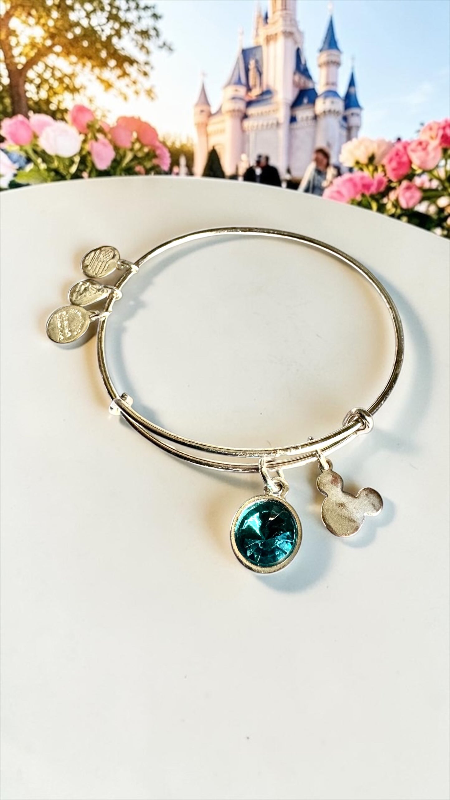 Alex and Ani - Park Exclusive - December Birth Swarovski Crystal Bangle Bracelet