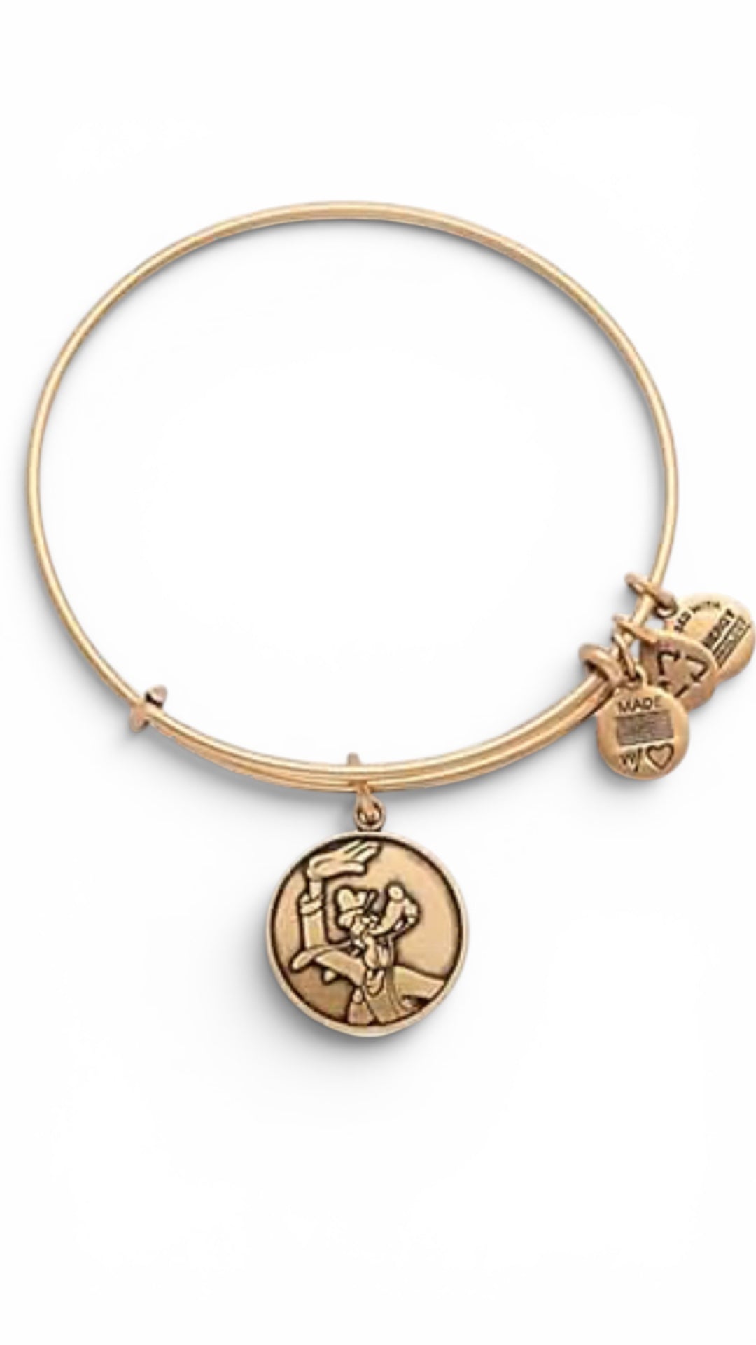 Alex and Ani - Park Exclusive Goofy Charm Bangle Bracelet