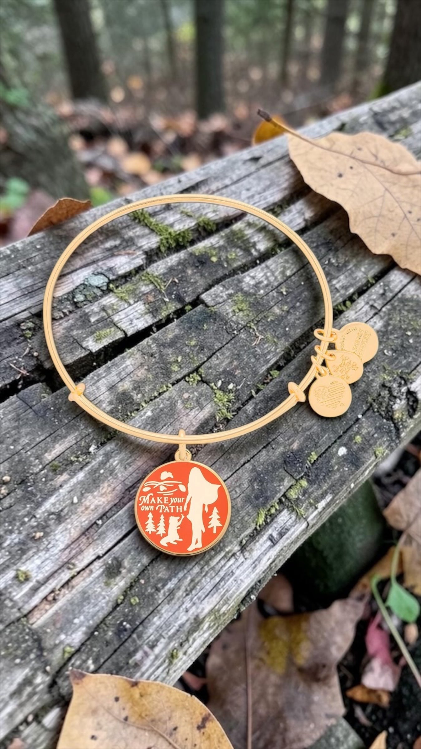 Alex And Ani - Pocahontas, ‘Make Your Own Path’ Charm Bangle Bracelet