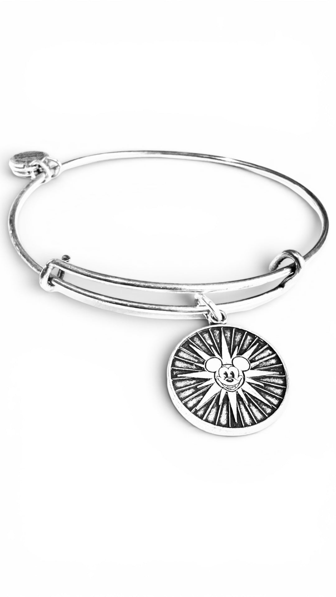 Alex and Ani - Disney Park Exclusive Charm Bracelet - California Adventure Mickey's Fun Wheel