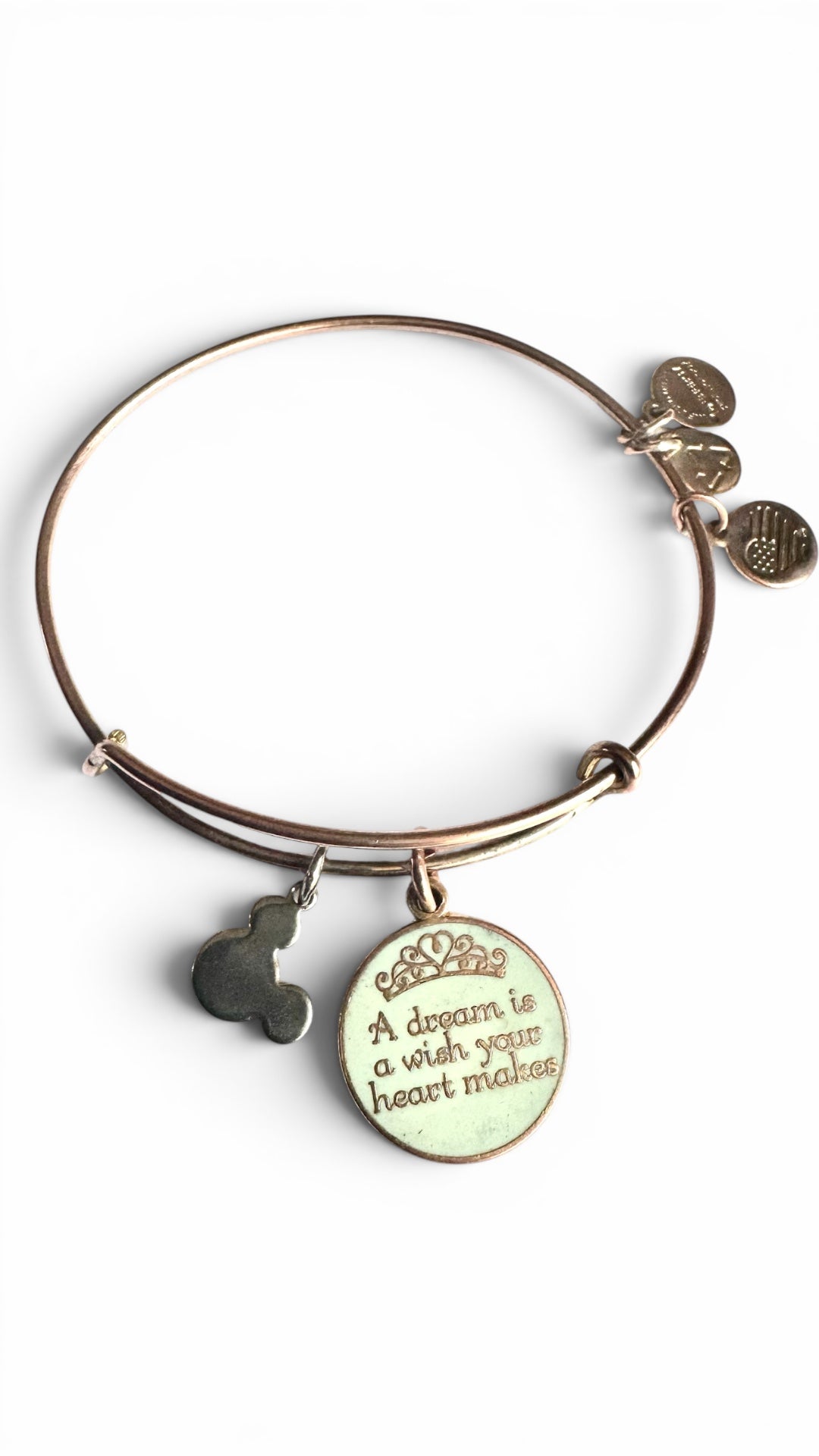 Alex and Ani - ‘A dream is a wish your heart makes’ Charm Bangle Bracelet, Park Exclusive