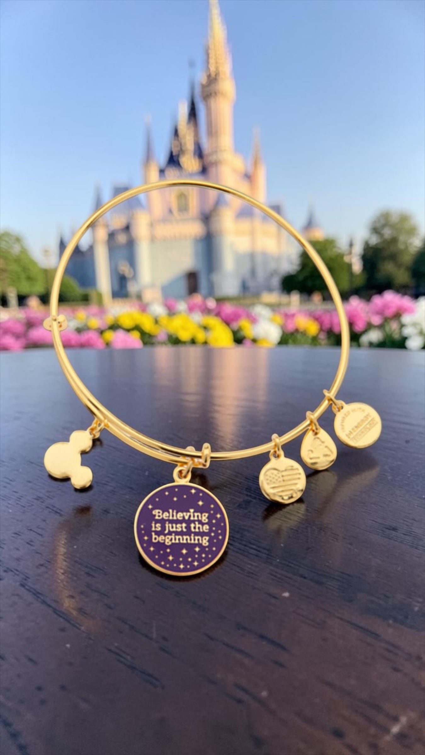 Alex and Ani - ‘Believing is just the Beginning’ Charm Bangle Bracelet, Park Exclusive