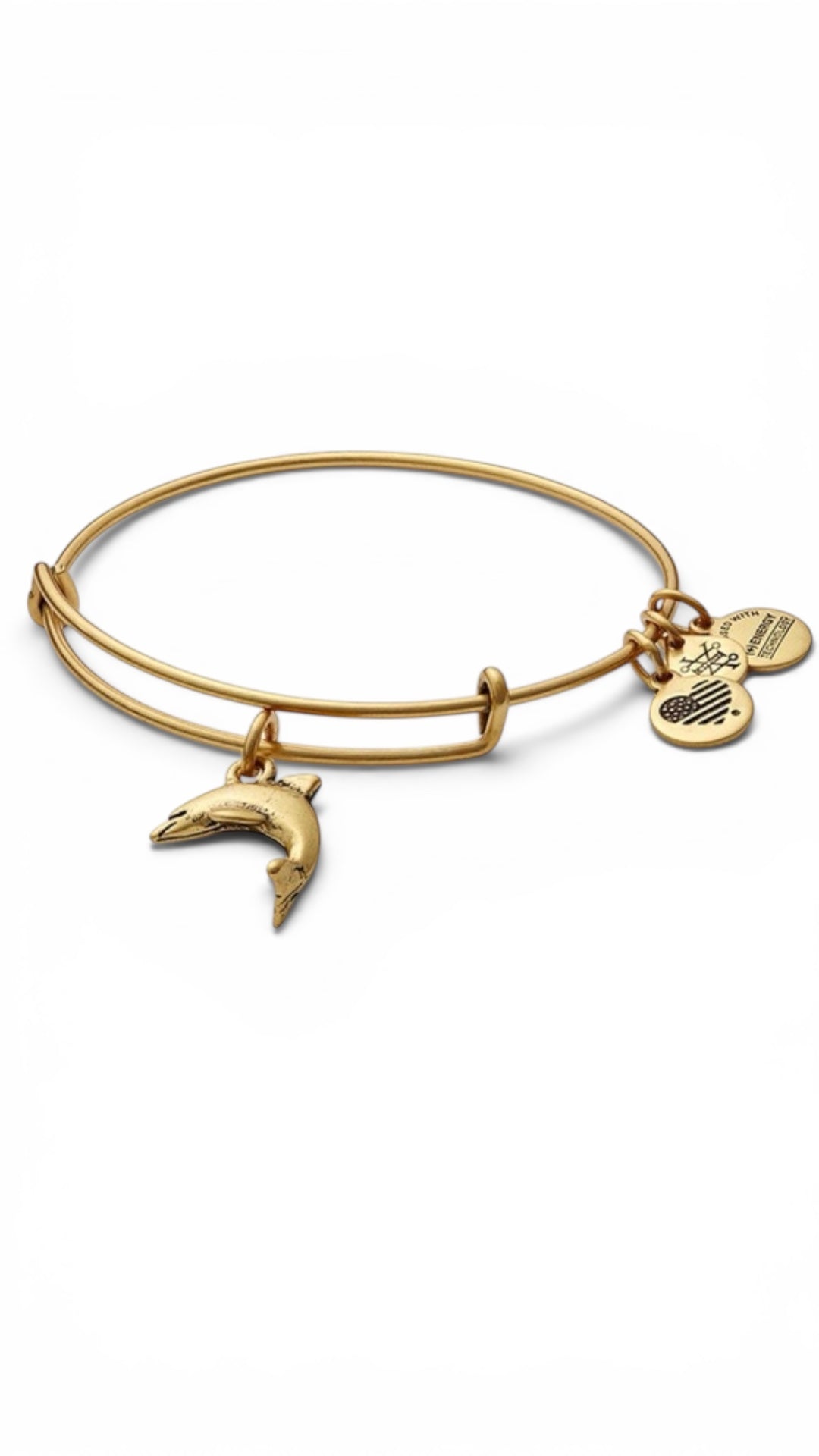 Alex and Ani - Dolphin Charm Bangle Bracelet, 2 Styles