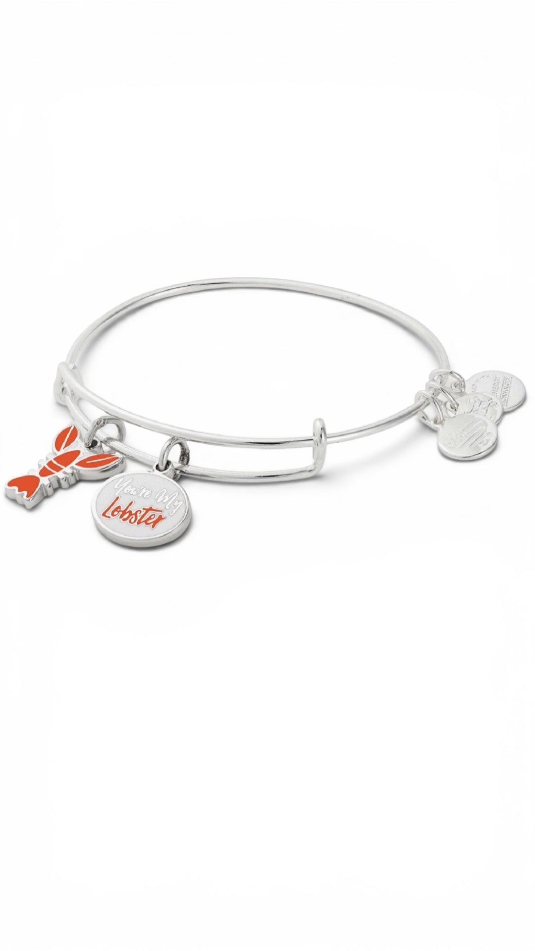 Alex and Ani - “You're My Lobster” Duo Charm from the Show FRIENDS Bangle Bracelet