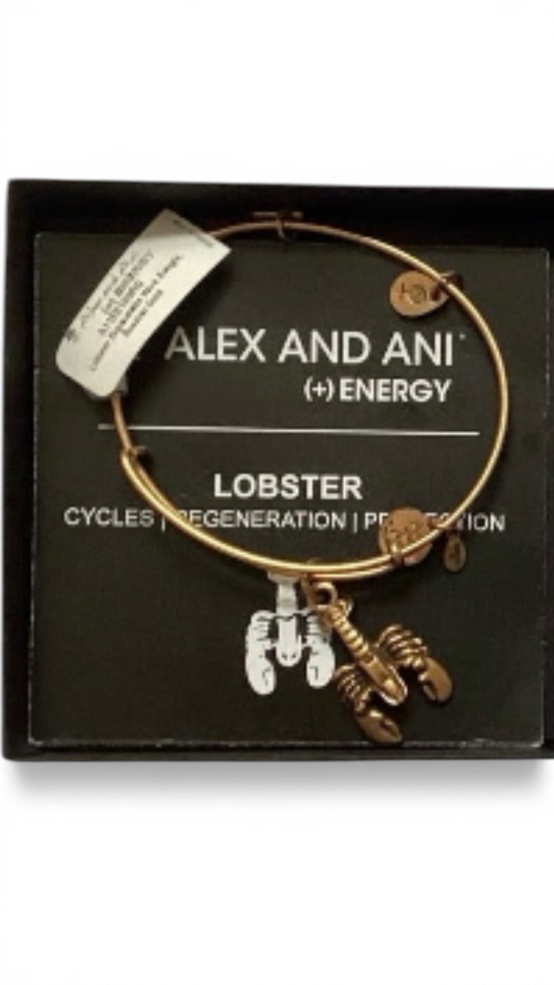 Alex and Ani - Lobster Charm Bangle Bracelet