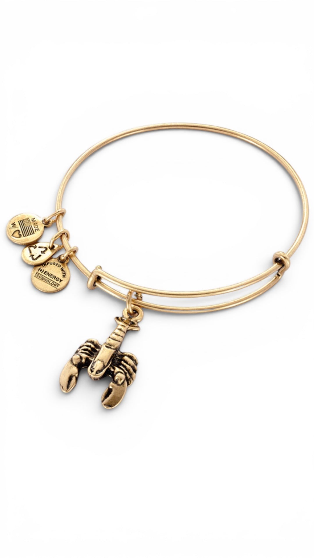 Alex and Ani - Lobster Charm Bangle Bracelet