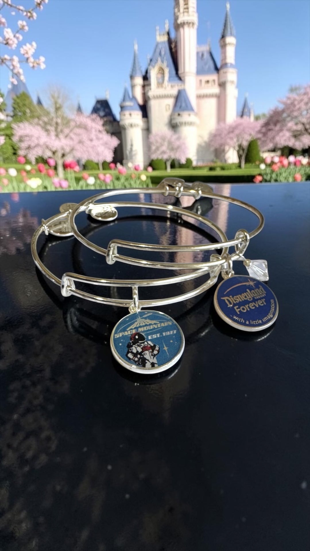 Alex and Ani - Disneyland Forever & Space Mountain Charm Bangle Bracelets, 2 Bracelets Bundle