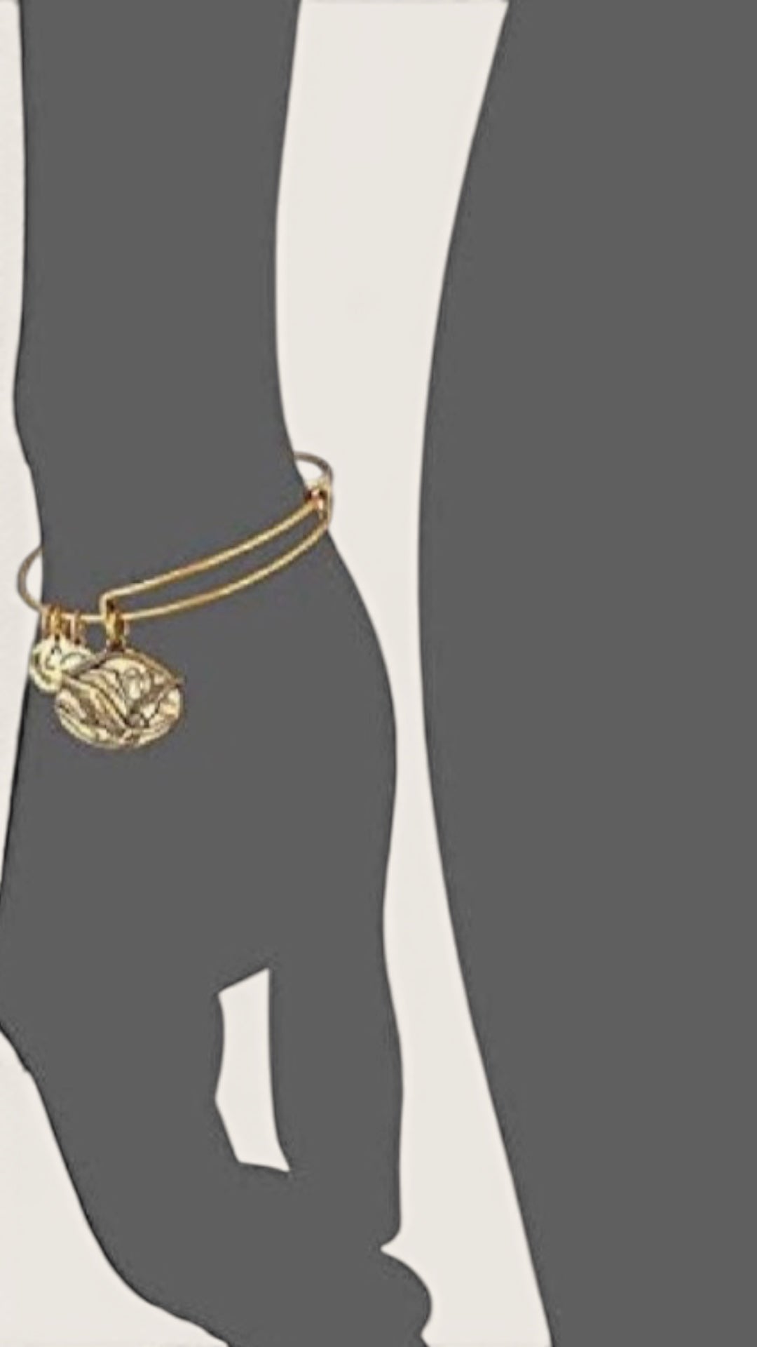 Alex and Ani - Guardian of Freedom Fly With Me Charm Bangle Bracelet