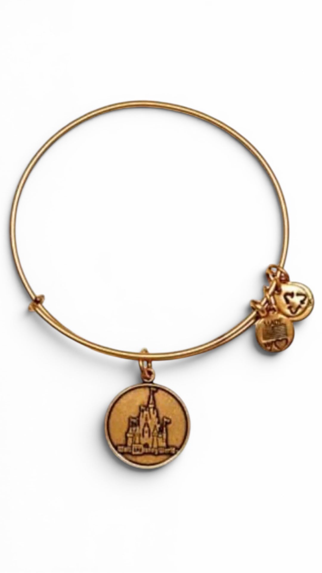 Alex and Ani - Walt DisneyWorld Castle Charm Bangle Bracelet, Park Exclusive