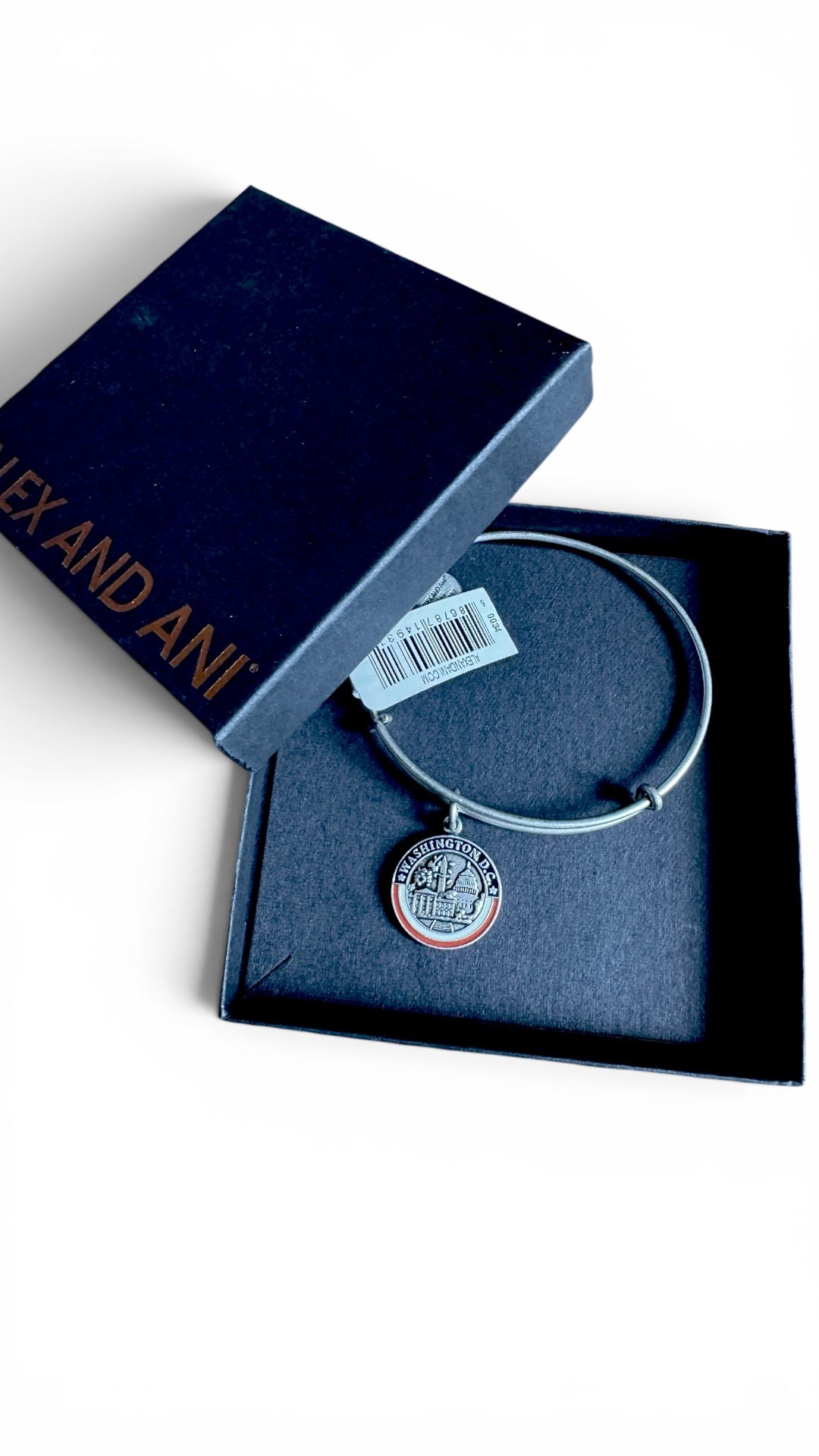 Alex and Ani - Washington D.C. III Charm Destination Bangle Bracelet