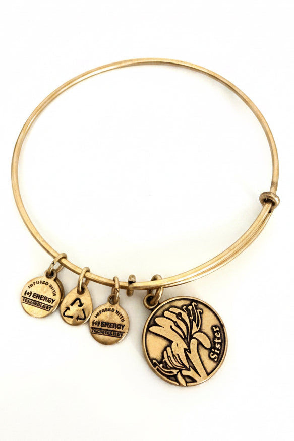 Alex and Ani - “Sister” Charm Slide Bangle Bracelet, 3 Styles