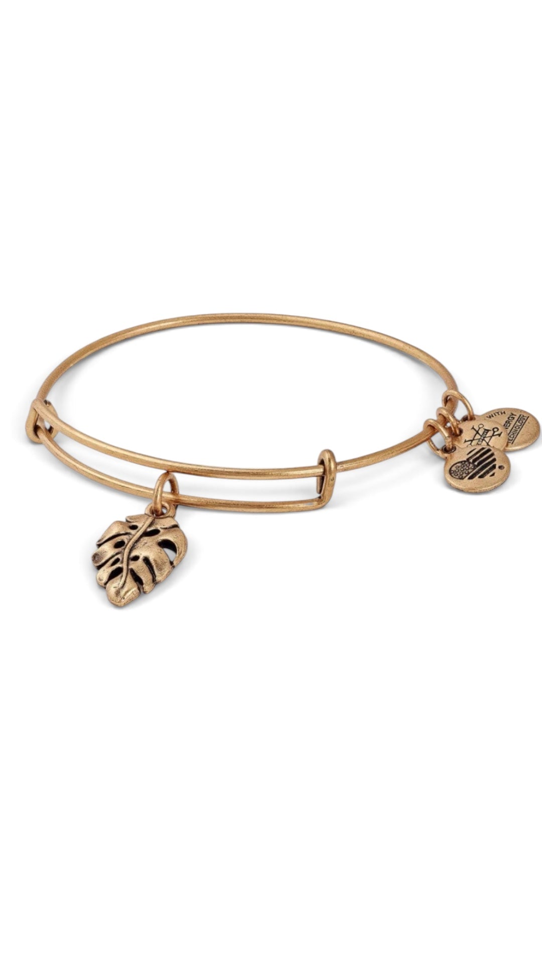 Alex and Ani - Palm Leaf Charm Bangle Bracelet