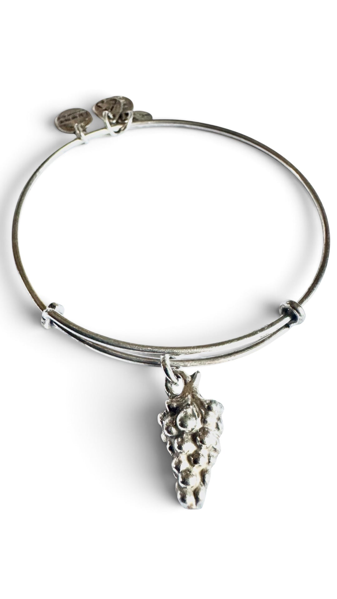 Alex and Ani - A Bunch of Grapes Charm Bangle Bracelet