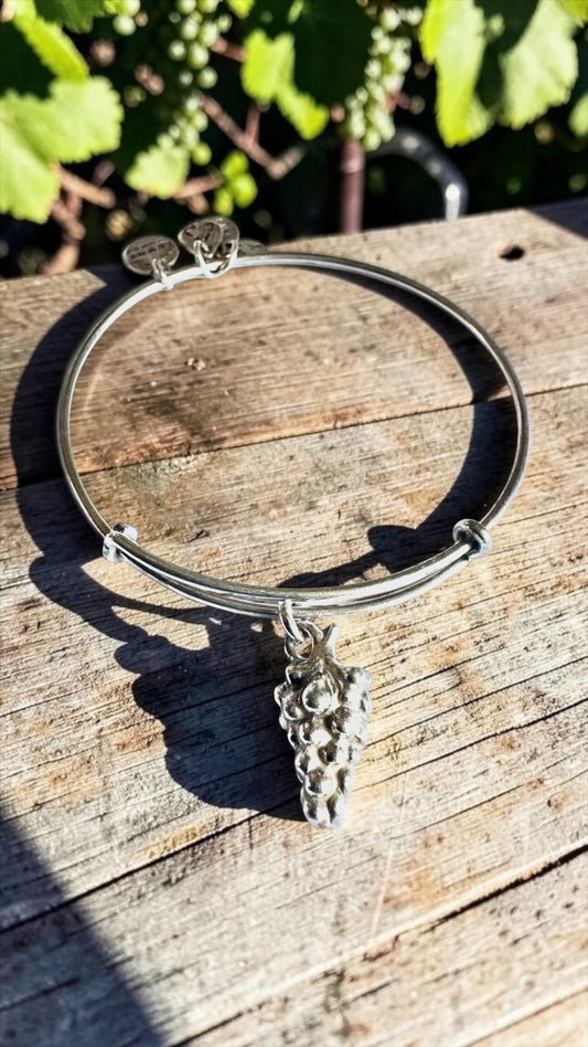 Alex and Ani - A Bunch of Grapes Charm Bangle Bracelet