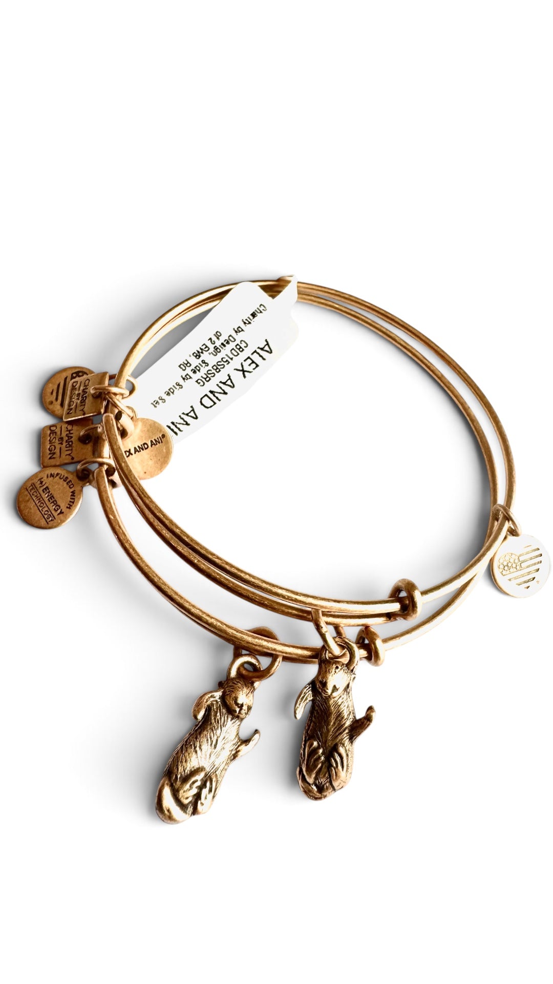 Alex and Ani - Charity by Design, Pair of Otters, 2 Bracelets