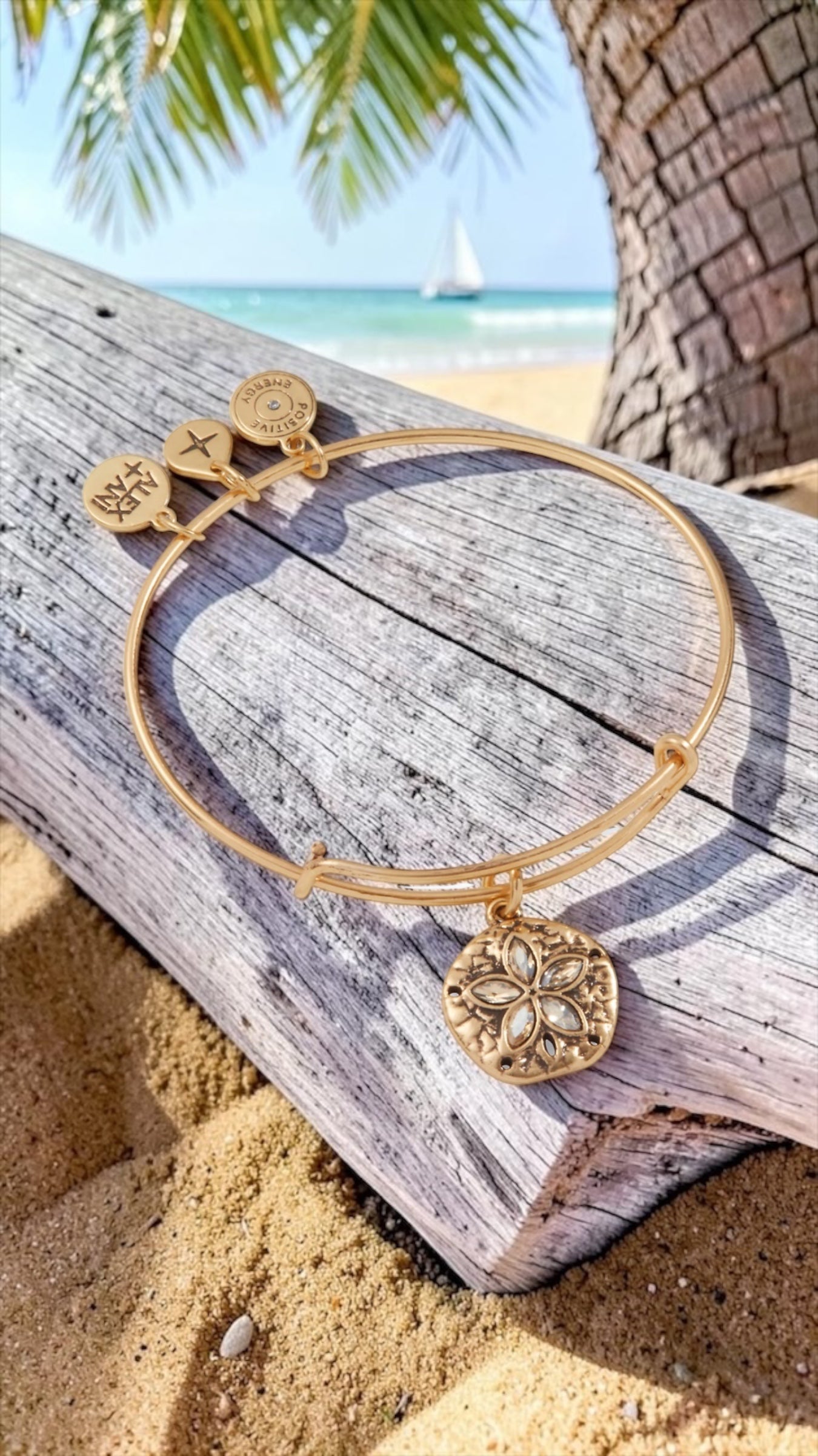 Alex and Ani - Sand Dollar With Crystals Charm Bangle Bracelet