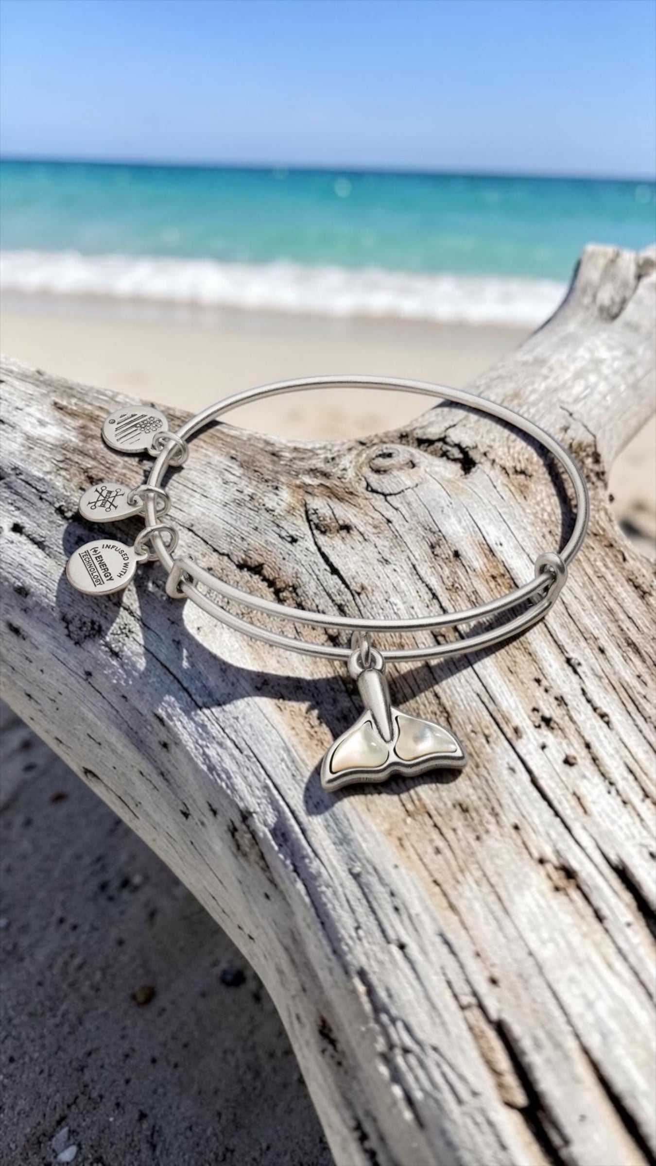 Alex and Ani - Whale Tail Charm Bangle Bracelet