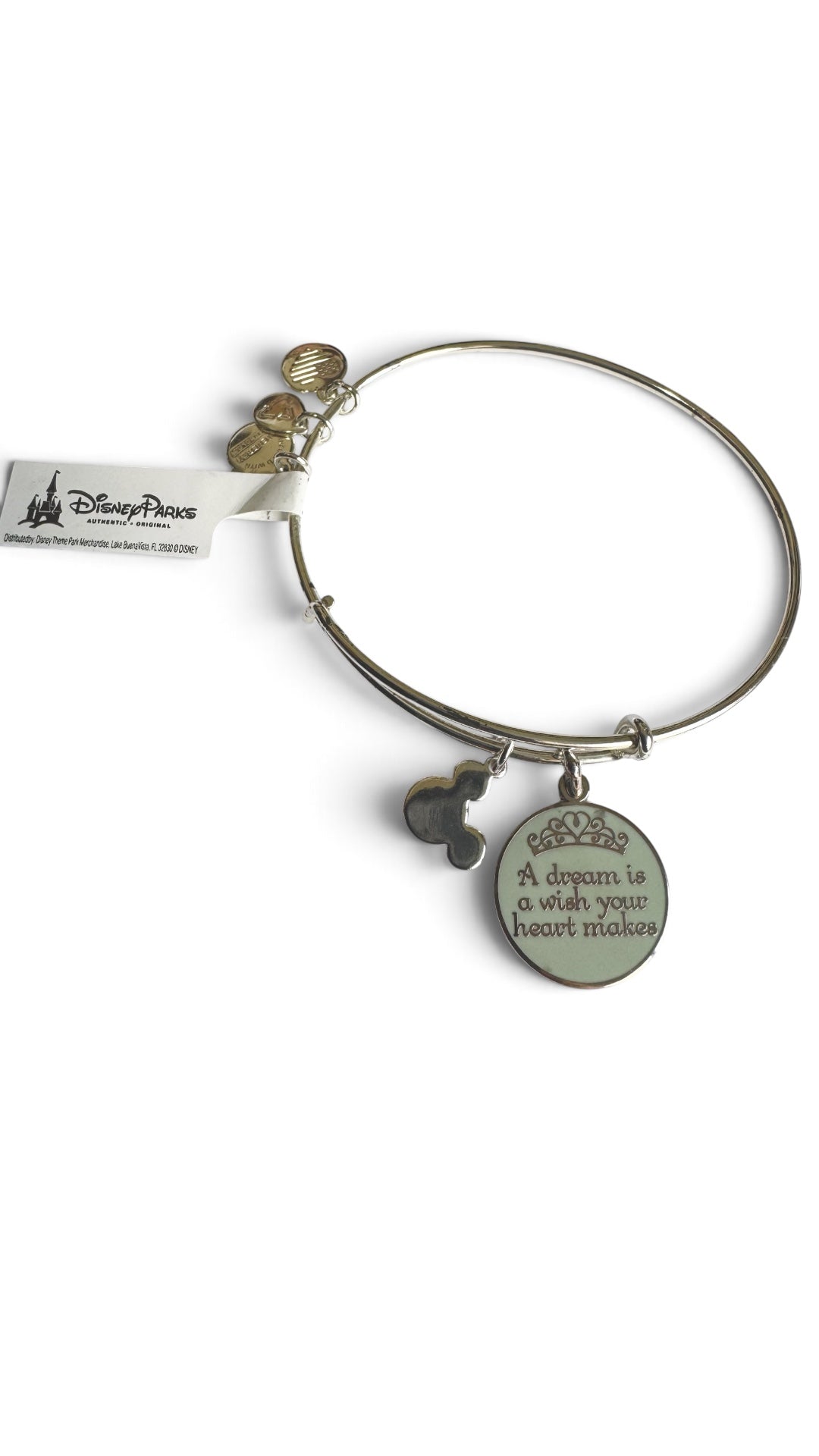 Alex and Ani - ‘A dream is a wish your heart makes’ Charm Bangle Bracelet, Park Exclusive