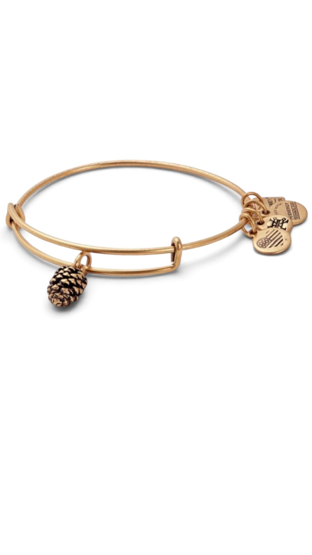 Alex and Ani - Pinecone Charm Bangle Bracelet