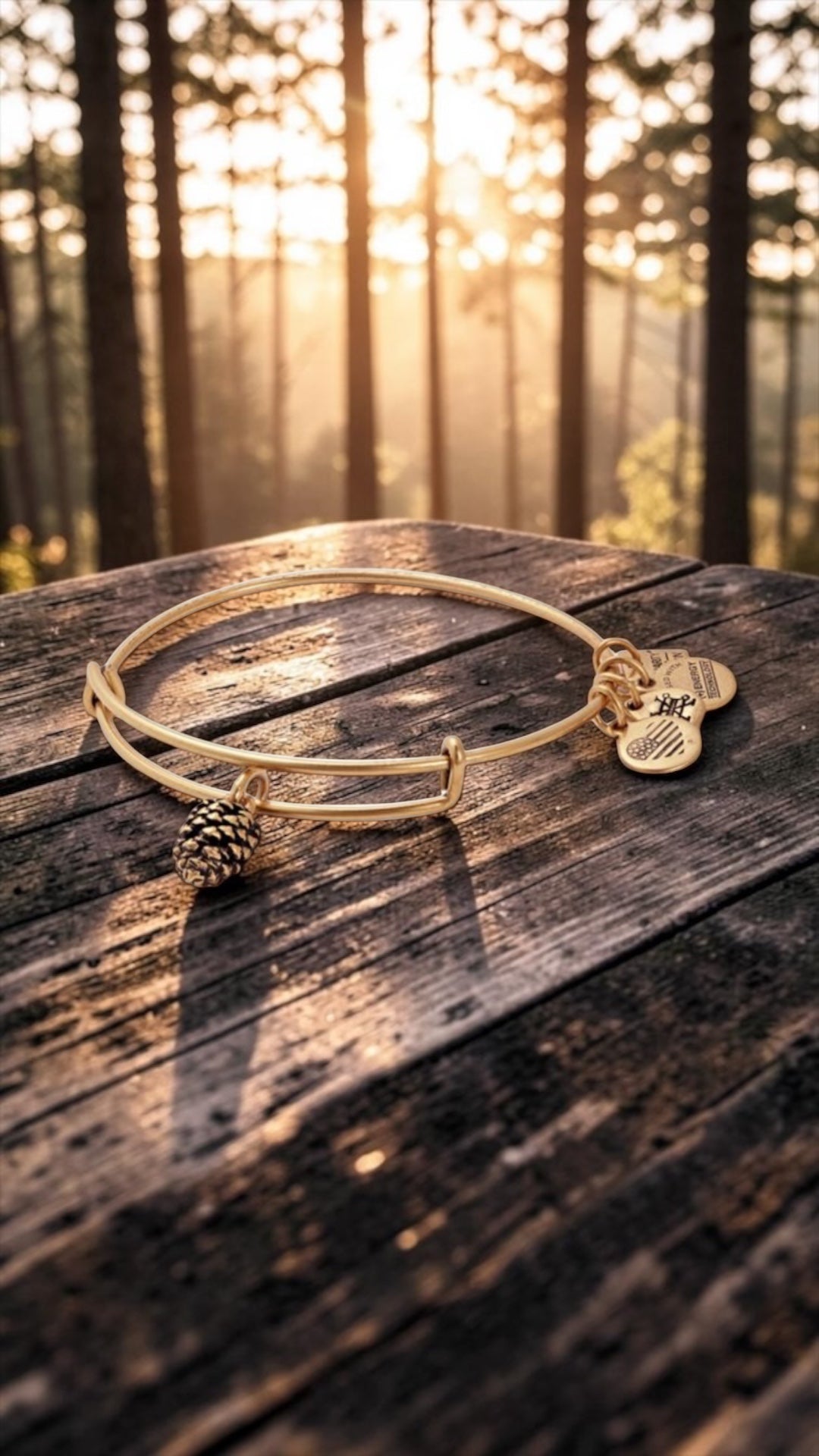 Alex and Ani - Pinecone Charm Bangle Bracelet